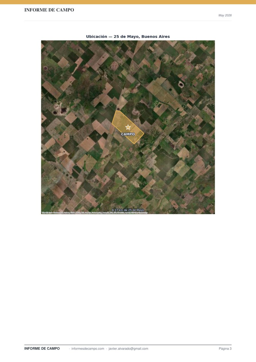Vista satelital del campo
